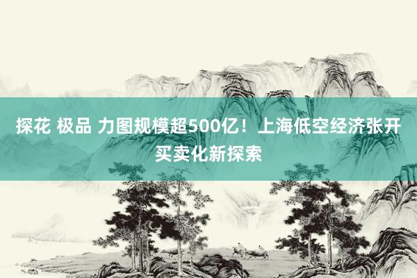 探花 极品 力图规模超500亿！上海低空经济张开买卖化新探索