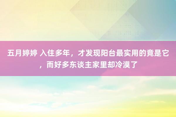 五月婷婷 入住多年，才发现阳台最实用的竟是它，而好多东谈主家里却冷漠了
