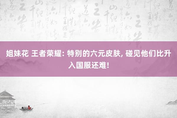 姐妹花 王者荣耀: 特别的六元皮肤， 碰见他们比升入国服还难!