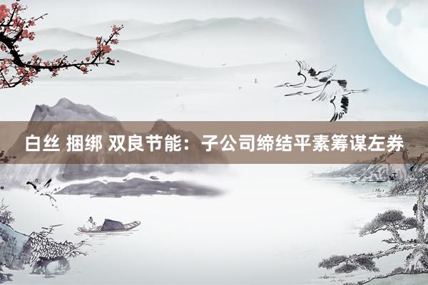 白丝 捆绑 双良节能：子公司缔结平素筹谋左券