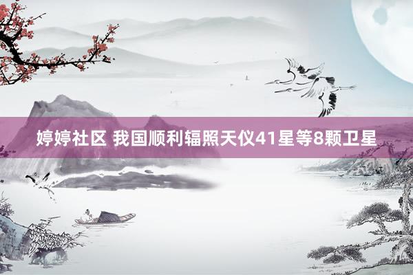 婷婷社区 我国顺利辐照天仪41星等8颗卫星