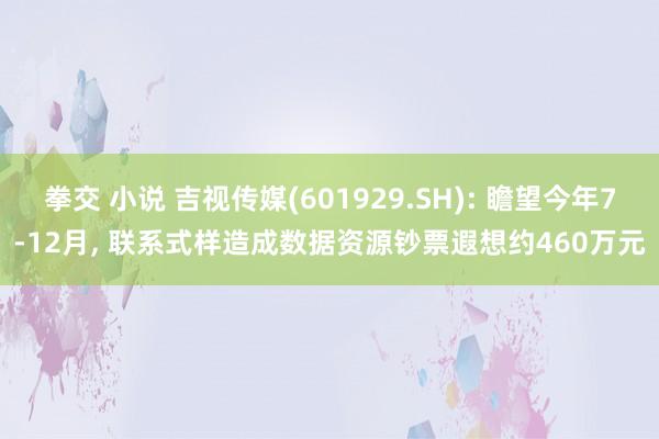 拳交 小说 吉视传媒(601929.SH): 瞻望今年7-12月， 联系式样造成数据资源钞票遐想约460万元