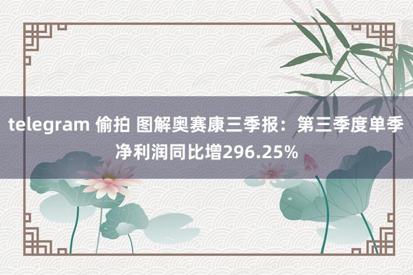 telegram 偷拍 图解奥赛康三季报：第三季度单季净利润同比增296.25%