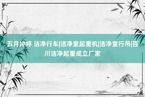   五月婷婷 洁净行车|洁净室起重机|洁净室行吊|百川洁净起重成立厂家
