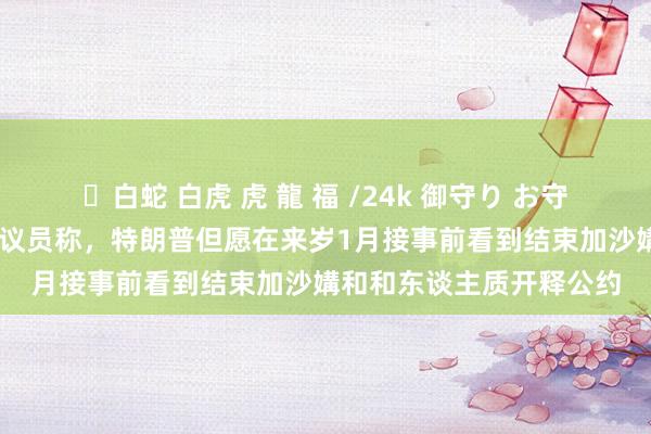   ✨白蛇 白虎 虎 龍 福 /24k 御守り お守り 好意思媒：好意思磋议员称，特朗普但愿在来岁1月接事前看到结束加沙媾和和东谈主质开释公约