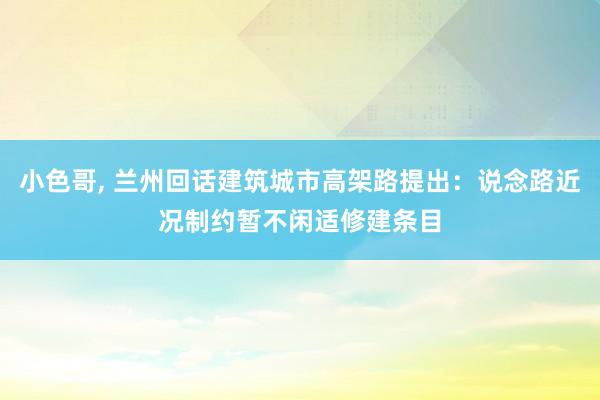 小色哥， 兰州回话建筑城市高架路提出：说念路近况制约暂不闲适修建条目