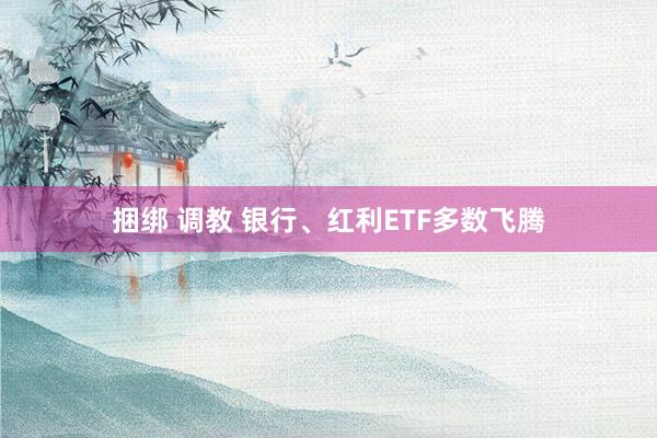 捆绑 调教 银行、红利ETF多数飞腾