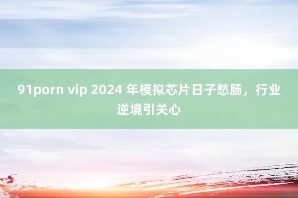 91porn vip 2024 年模拟芯片日子愁肠，行业逆境引关心