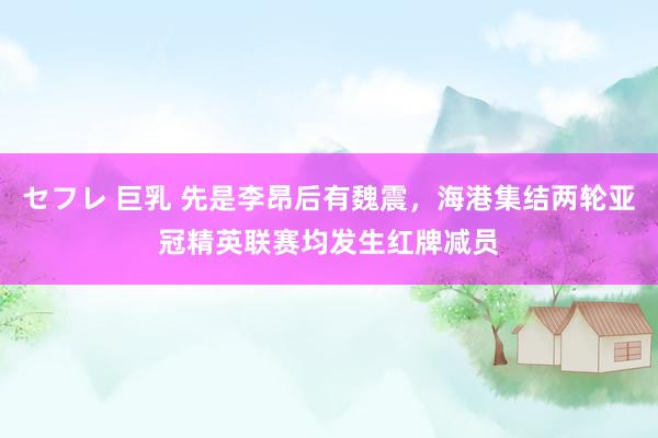   セフレ 巨乳 先是李昂后有魏震，海港集结两轮亚冠精英联赛均发生红牌减员