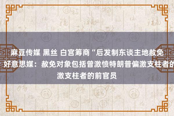   麻豆传媒 黑丝 白宫筹商“后发制东谈主地赦免”官员，好意思媒：赦免对象包括曾激愤特朗普偏激支柱者的前官员