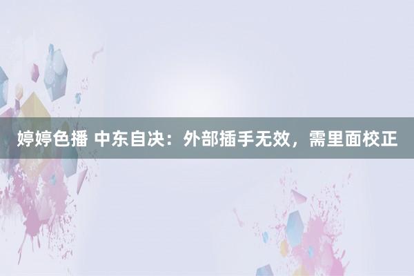   婷婷色播 中东自决：外部插手无效，需里面校正