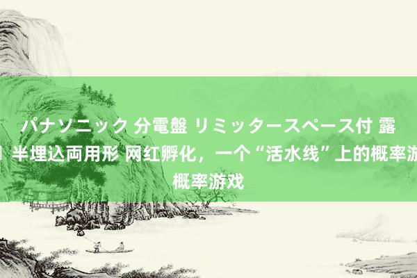 パナソニック 分電盤 リミッタースペース付 露出・半埋込両用形 网红孵化，一个“活水线”上的概率游戏