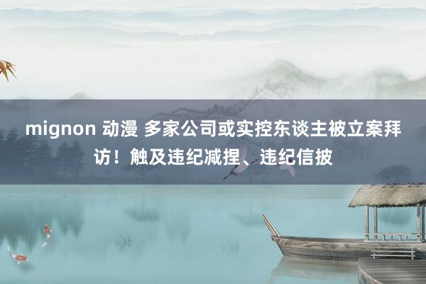   mignon 动漫 多家公司或实控东谈主被立案拜访！触及违纪减捏、违纪信披