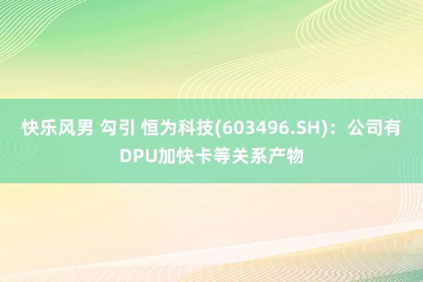   快乐风男 勾引 恒为科技(603496.SH)：公司有DPU加快卡等关系产物