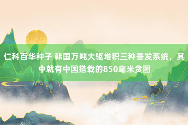   仁科百华种子 韩国万吨大驱堆积三种垂发系统，其中就有中国搭载的850毫米贪图