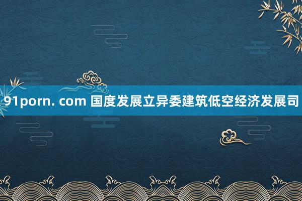   91porn. com 国度发展立异委建筑低空经济发展司