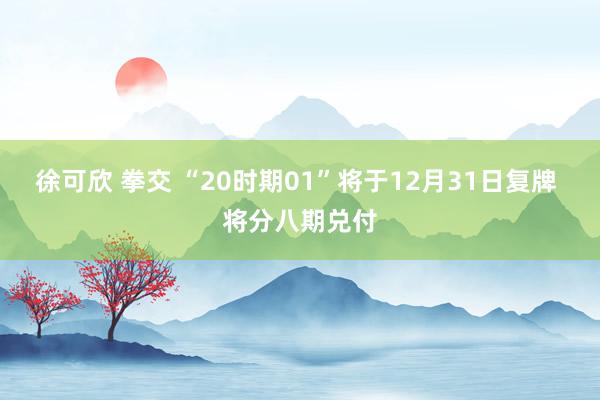   徐可欣 拳交 “20时期01”将于12月31日复牌 将分八期兑付