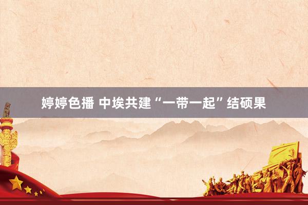   婷婷色播 中埃共建“一带一起”结硕果