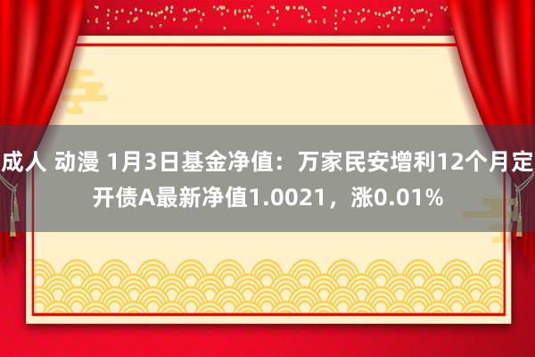   成人 动漫 1月3日基金净值：万家民安增利12个月定开债A最新净值1.0021，涨0.01%