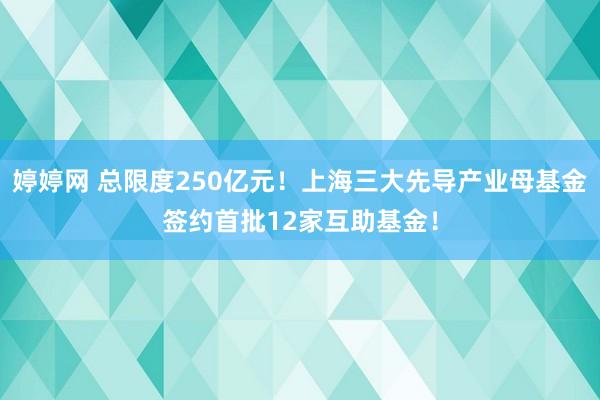   婷婷网 总限度250亿元！上海三大先导产业母基金签约首批12家互助基金！