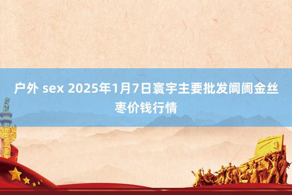   户外 sex 2025年1月7日寰宇主要批发阛阓金丝枣价钱行情