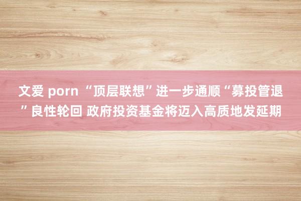   文爱 porn “顶层联想”进一步通顺“募投管退”良性轮回 政府投资基金将迈入高质地发延期