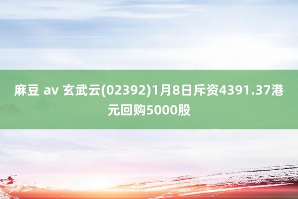   麻豆 av 玄武云(02392)1月8日斥资4391.37港元回购5000股