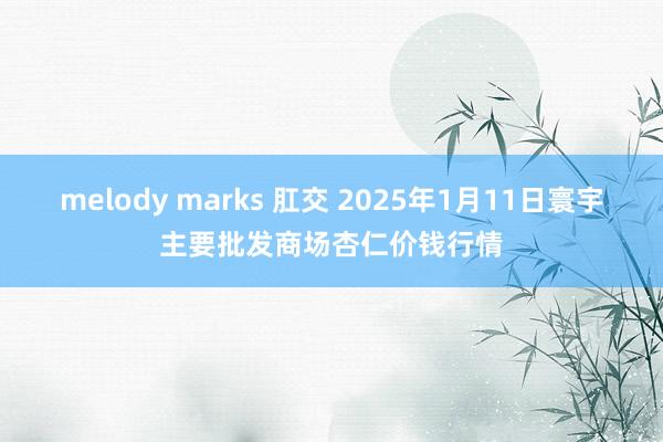   melody marks 肛交 2025年1月11日寰宇主要批发商场杏仁价钱行情