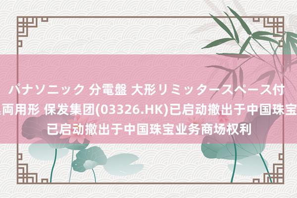   パナソニック 分電盤 大形リミッタースペース付 露出・半埋込両用形 保发集团(03326.HK)已启动撤出于中国珠宝业务商场权利