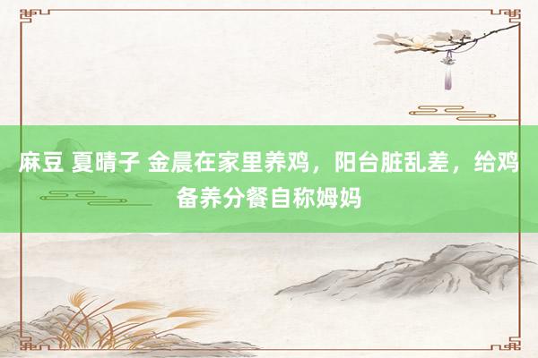   麻豆 夏晴子 金晨在家里养鸡，阳台脏乱差，给鸡备养分餐自称姆妈