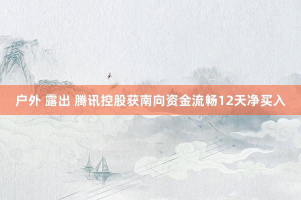 户外 露出 腾讯控股获南向资金流畅12天净买入