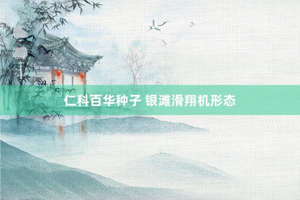 仁科百华种子 银滩滑翔机形态