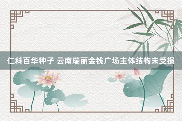   仁科百华种子 云南瑞丽金钱广场主体结构未受损
