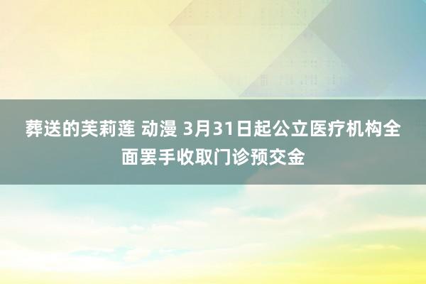   葬送的芙莉莲 动漫 3月31日起公立医疗机构全面罢手收取门诊预交金