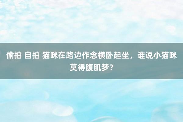   偷拍 自拍 猫咪在路边作念横卧起坐，谁说小猫咪莫得腹肌梦？