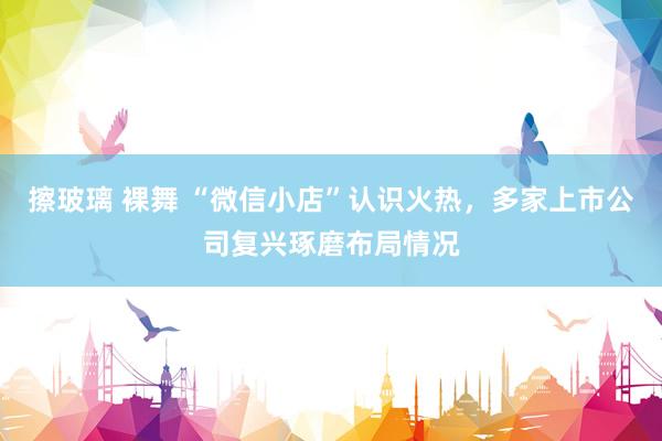   擦玻璃 裸舞 “微信小店”认识火热，多家上市公司复兴琢磨布局情况
