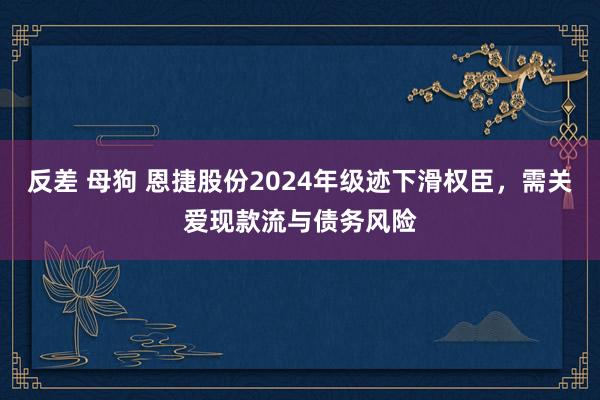   反差 母狗 恩捷股份2024年级迹下滑权臣，需关爱现款流与债务风险